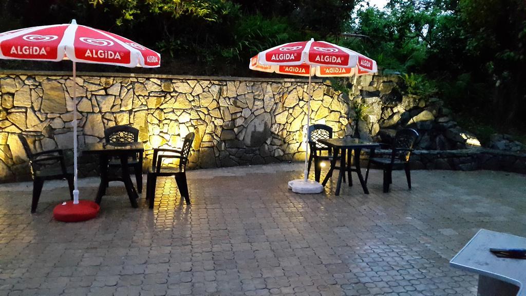 Lasha Guest House Makhinjauri Rum bild